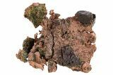 Natural, Native Copper Formation - Michigan #306152-1